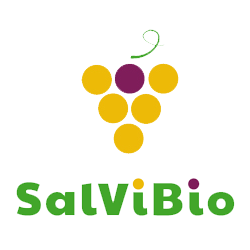 Obiettivi specifici del Progetto