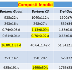 Composti fenolici di Ervi e Barbera