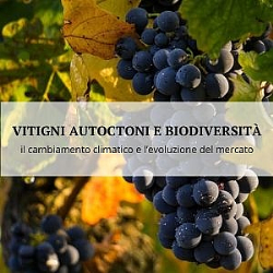 Native grape varieties and vine biodiversity to cope with climate change and market evolution