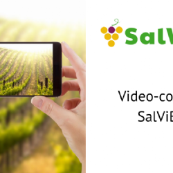 Video contest SalViBio