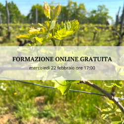 La progettazione del vigneto nel contesto del cambiamento climatico