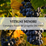 Minor grape varieties: an innovation tool for the revitalization of viticulture in Piacenza