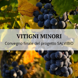 Vitigni minori: uno strumento di innovazione per il rilancio della viticoltura piacentina