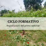 Il ruolo del vitigno nell’adattamento della viticoltura al cambiamento climatico