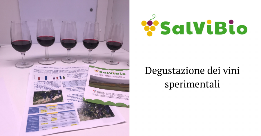 Tasting of experimental wines produced within SalViBio project